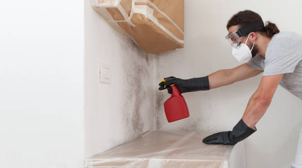 Professional Black Mold Removal technician working in Fremont, NC