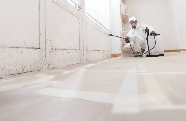 24/7 Emergency Black Mold Removal experts in Fremont, NC