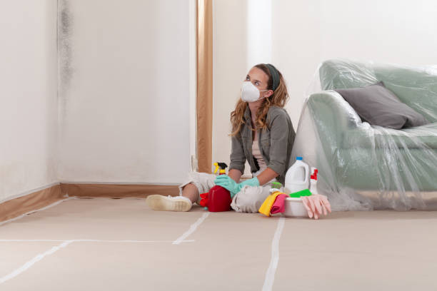 Reliable Black Mold Removal contractor in Fremont, NC by WQB Mold Removal
